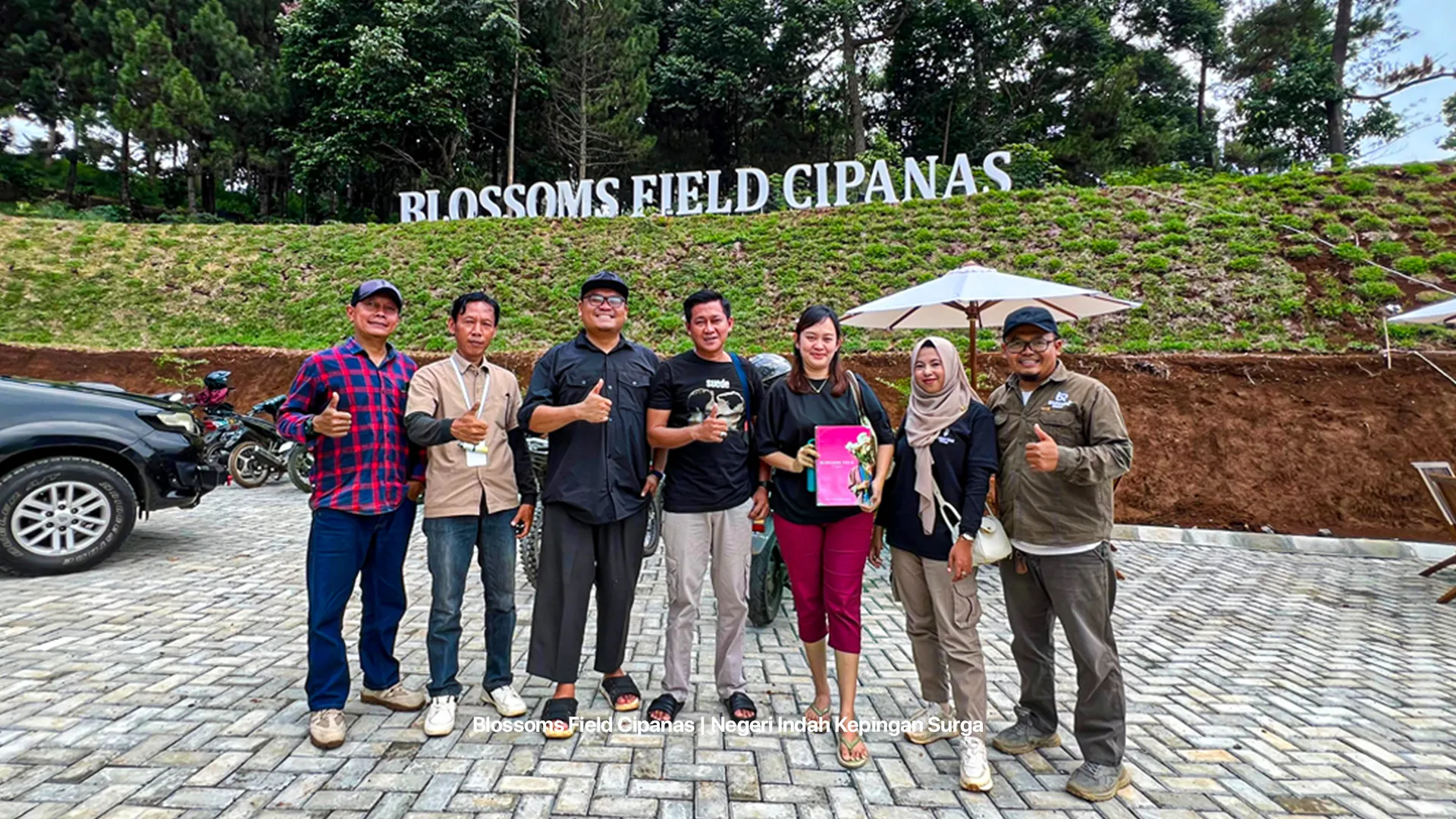 Foto Survey Blossoms 1