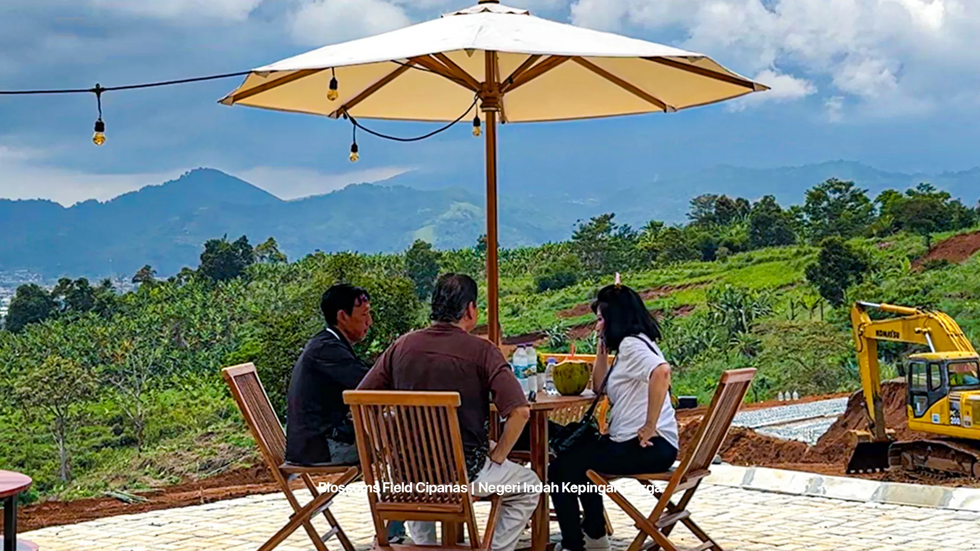 Foto Survey Blossoms 2