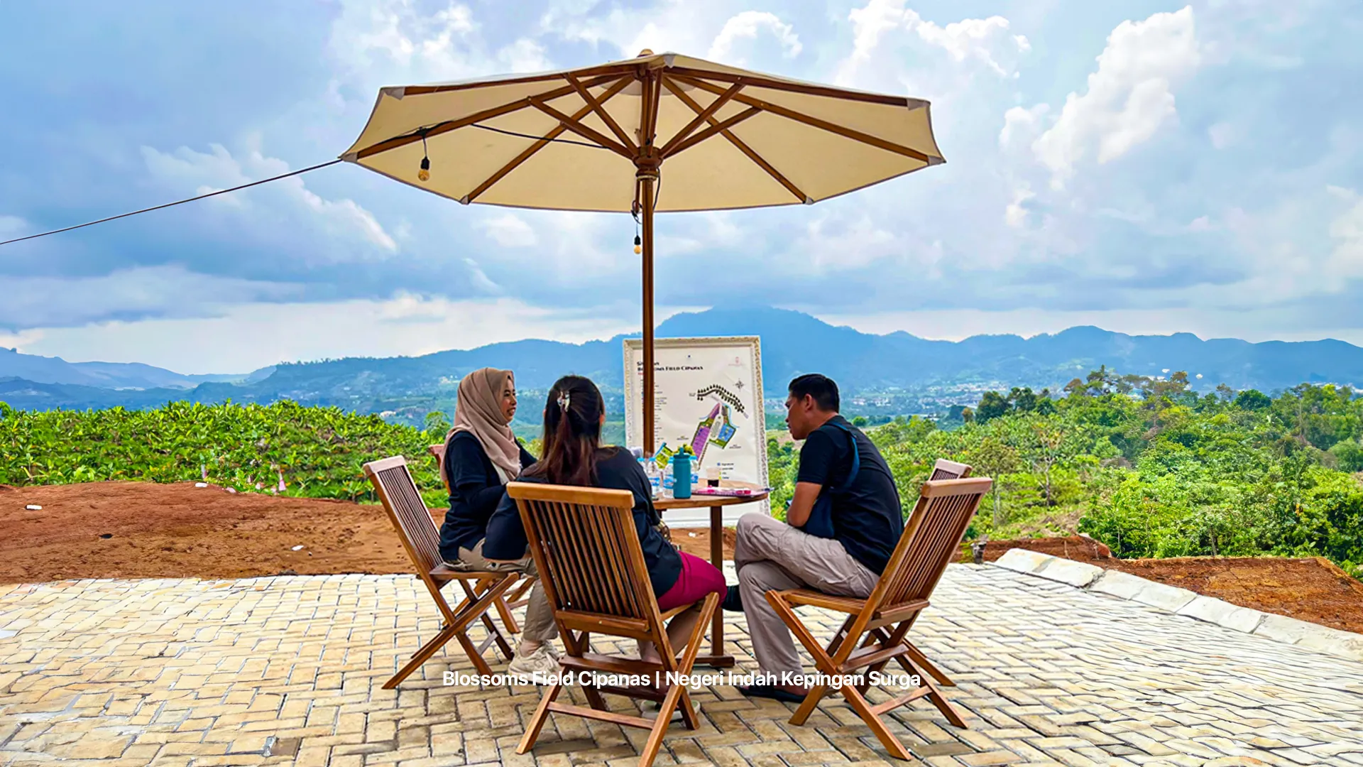 Foto Survey Blossoms 3