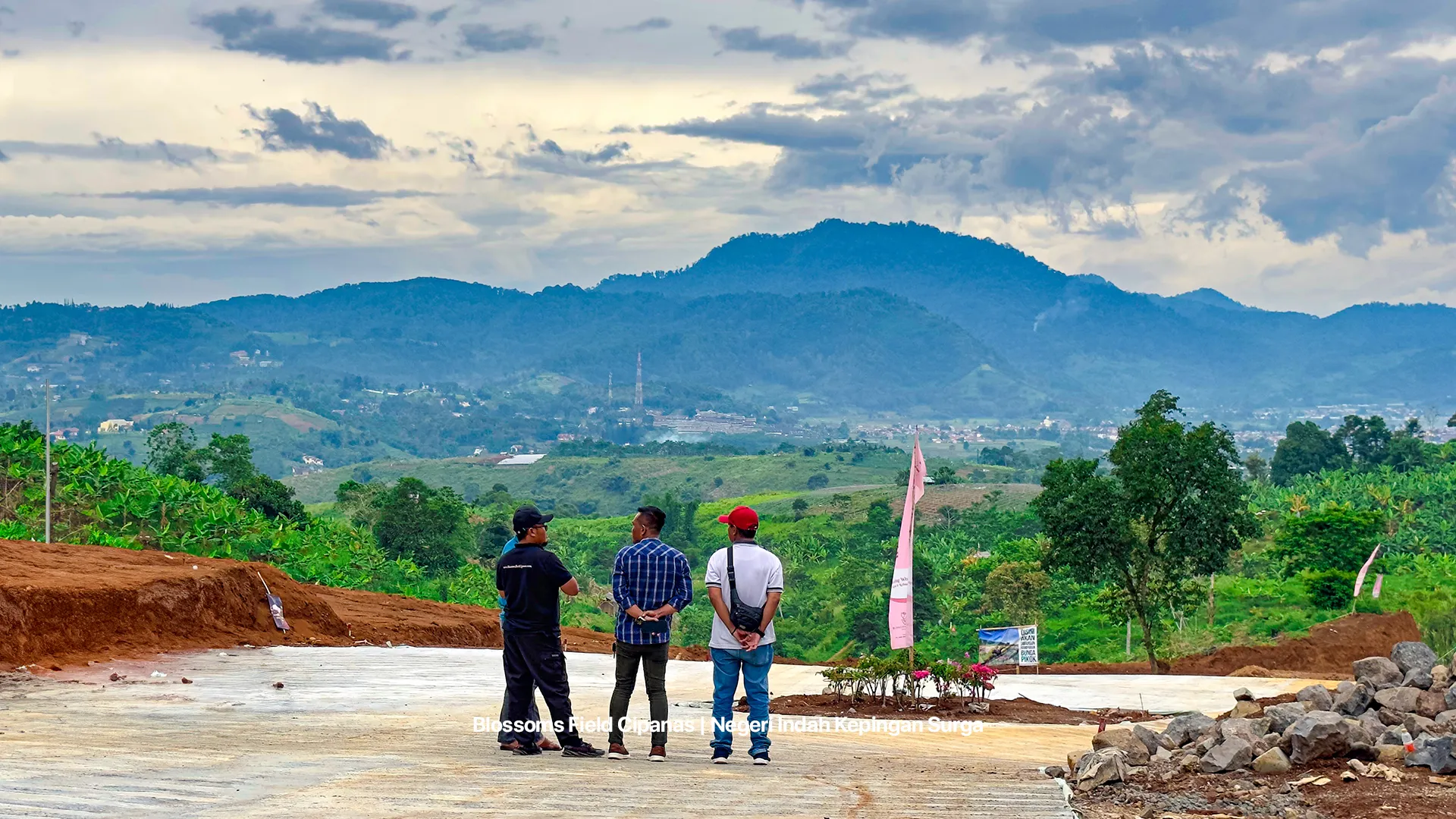 Foto Survey Blossoms 5